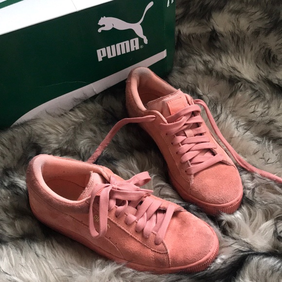 Pumas in the color : desert flower - Picture 5 of 5